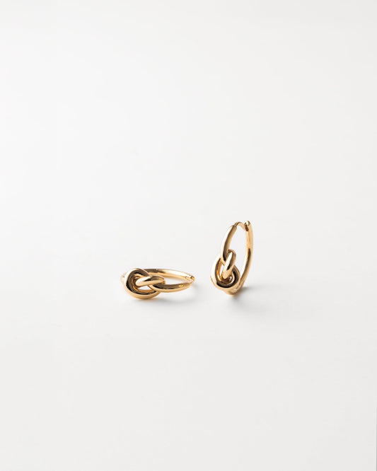 Eternal Knot Hoops