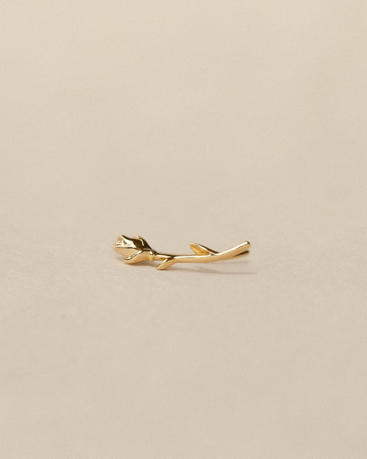 Rose Ear Climber