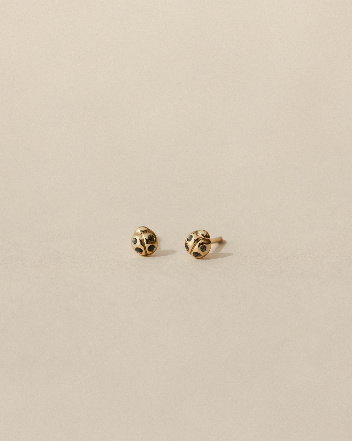 Ladybug Studs