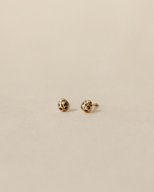 Ladybug Studs