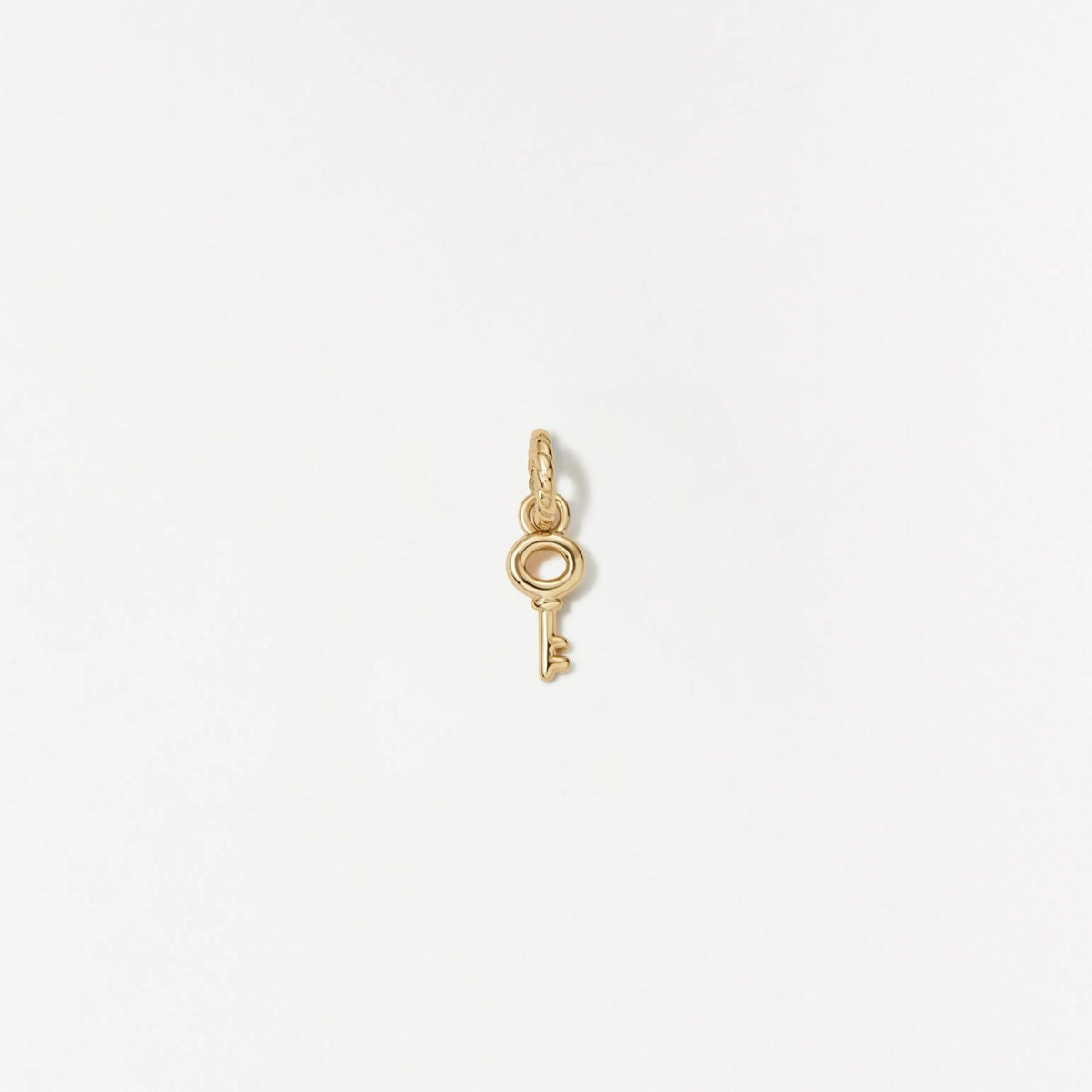Skeleton Key Charm