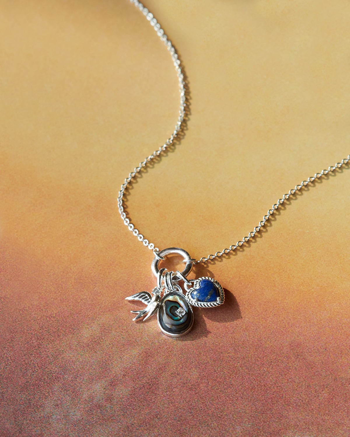 Silver Deliverer Charm Necklace
